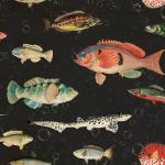 Papiers peints de poissons